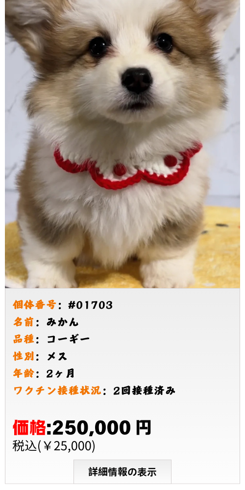 いぬぅ　1個 フィギュア ぞうきんがけ当番 犬 | emzemz